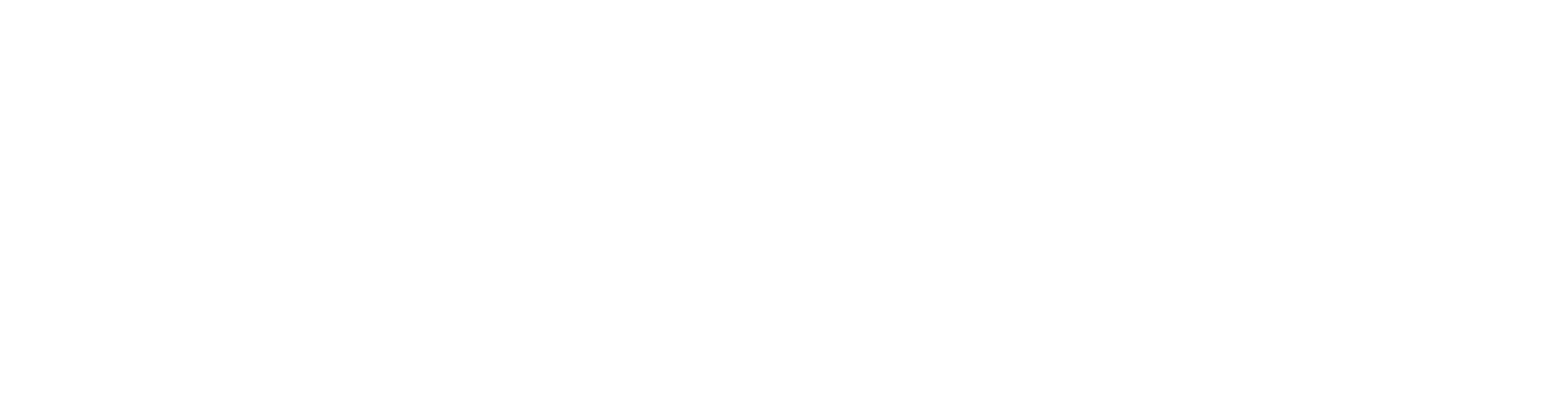 Vision ID Logo invertiert.